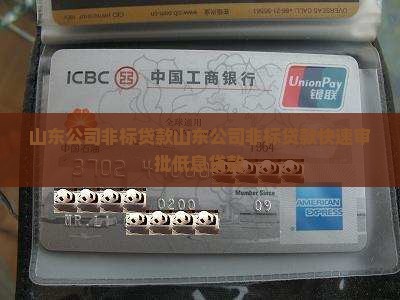 山东公司非标贷款