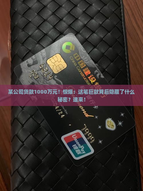 某公司贷款1000万元