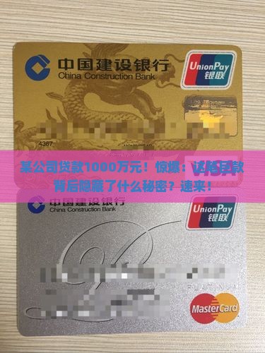 某公司贷款1000万元