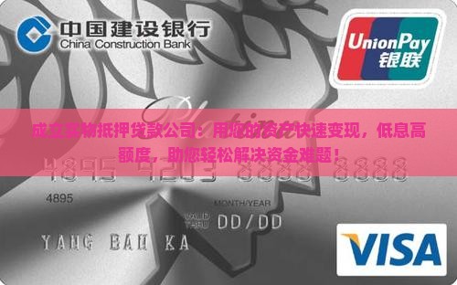 成立实物抵押贷款公司