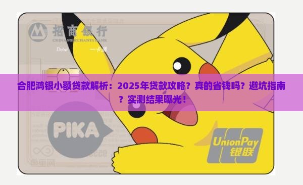 合肥鸿银小额贷款