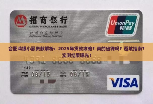 合肥鸿银小额贷款