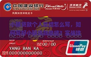 小额贷款个人总结怎么写