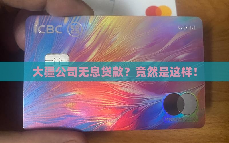 大疆公司无息贷款