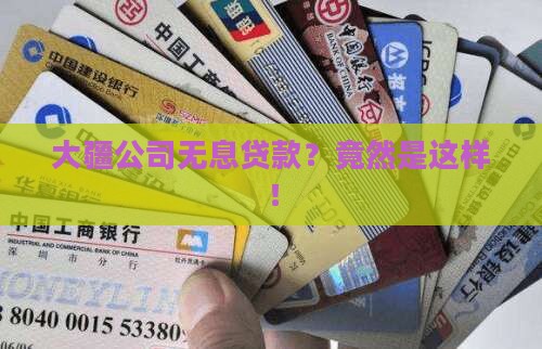 大疆公司无息贷款