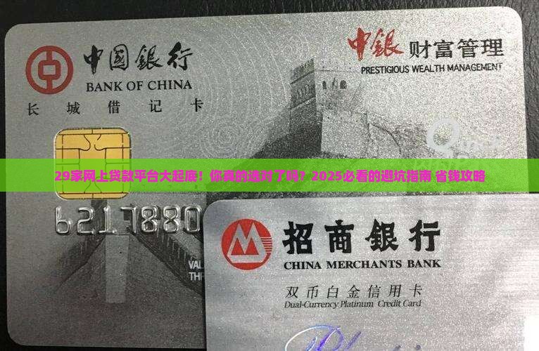 网上贷款平台29家