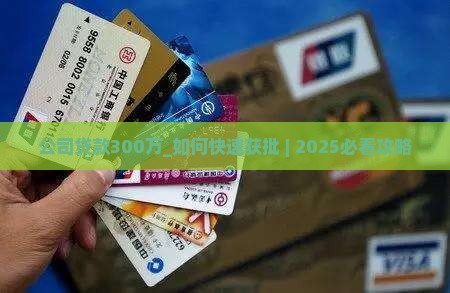 公司贷款300万