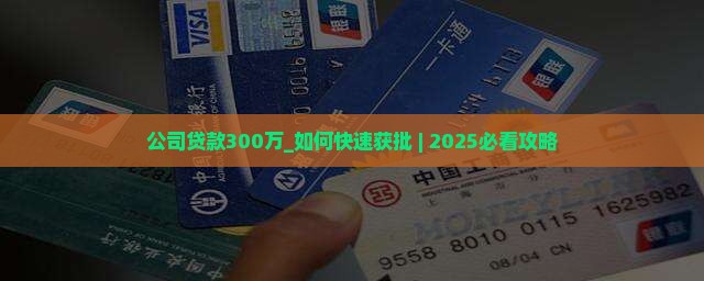 公司贷款300万