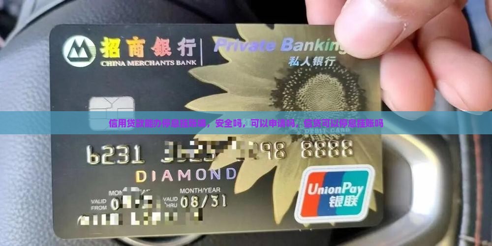 信用贷款能办停息挂账嘛