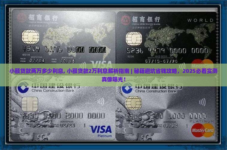 小额贷款两万多少利息