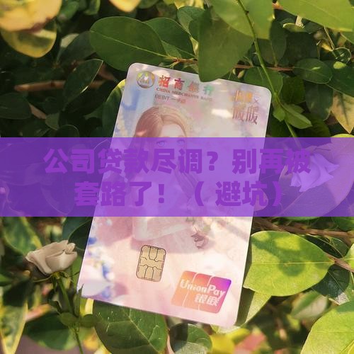 公司贷款尽调