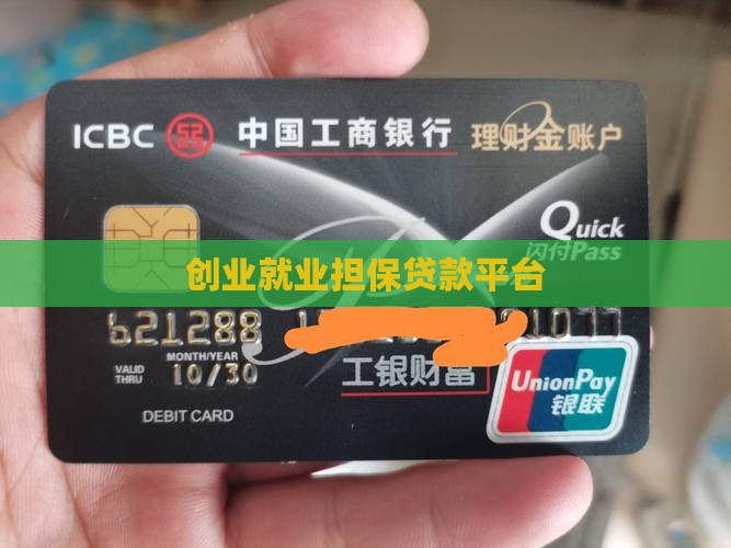 就业局创业贷款平台