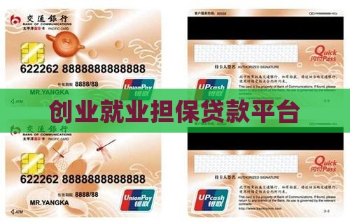就业局创业贷款平台