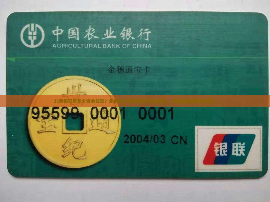 北京银行有多少资金贷款