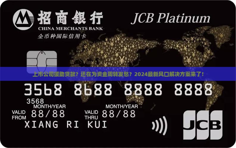 上市公司援助贷款