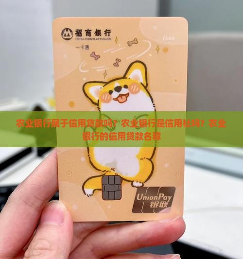 农业银行属于信用贷款吗