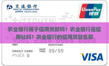 农业银行属于信用贷款吗