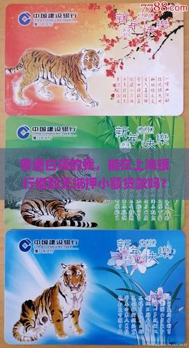上海银行无抵押小额贷款