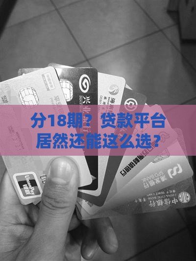 分18期贷款平台