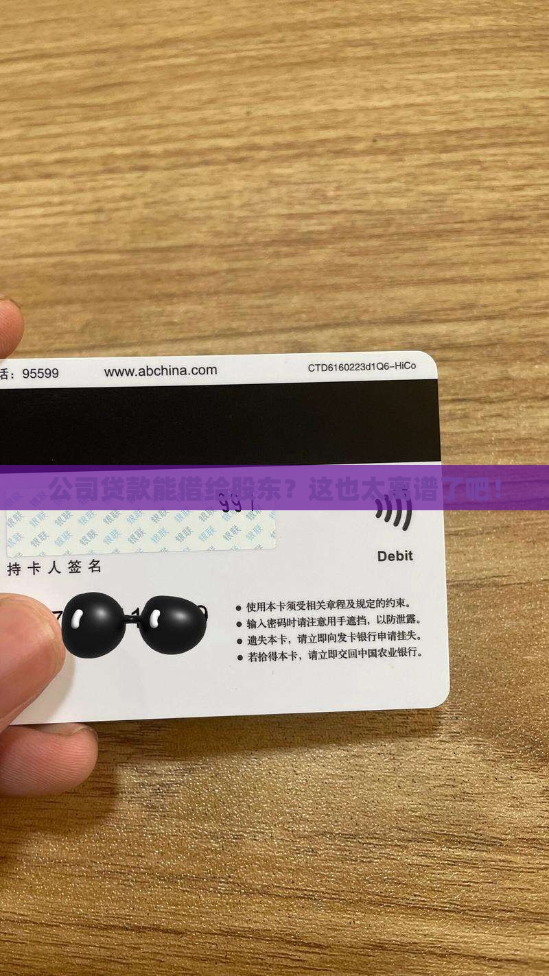 公司贷款可以借给股东