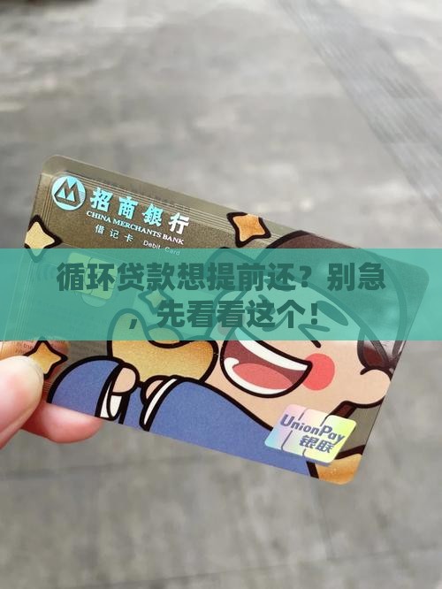 循环贷款可以提前还款吗