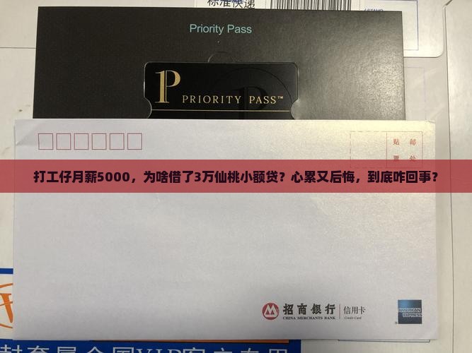 仙桃小额贷款案