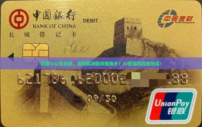 印度小公司贷款