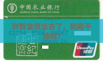 忘了财智金贷款用途 忘了财智金贷款用途