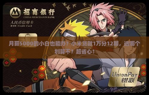 小米贷款1万分12期
