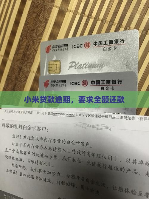 小米贷款让我全部还上
