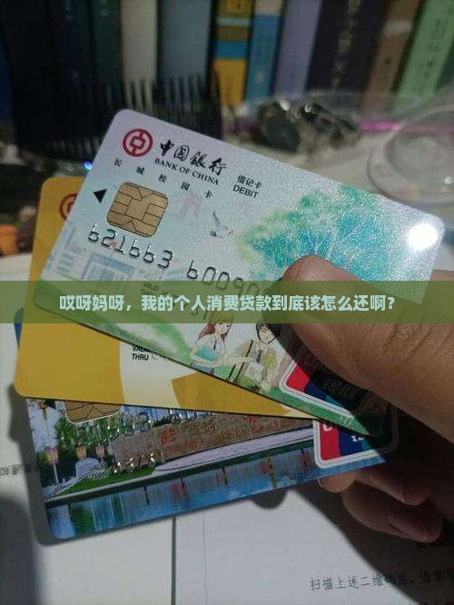 个人消费贷款怎么还