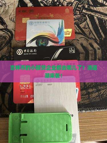 吉林市清退小额贷款企业