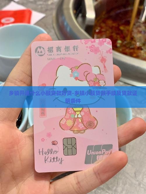 乡镇开通什么小额贷款好