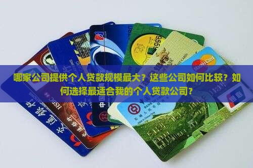 个人贷款最大的公司 个人贷款最大的公司