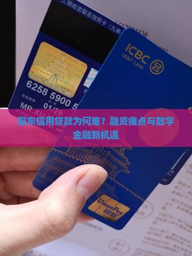 对股东提供信用贷款
