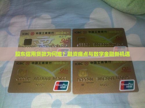 对股东提供信用贷款