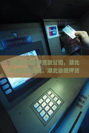 襄阳活体抵押贷款公司