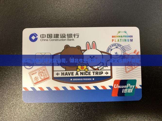 襄阳活体抵押贷款公司
