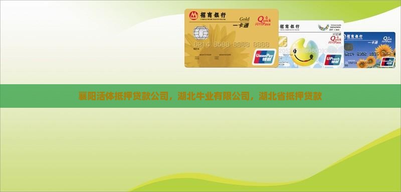 襄阳活体抵押贷款公司