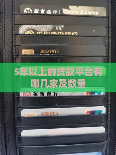 5年以上的贷款平台有