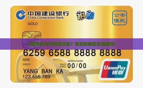 为什么小额贷款会发展