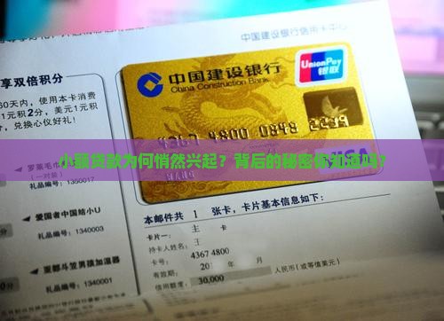 为什么小额贷款会发展