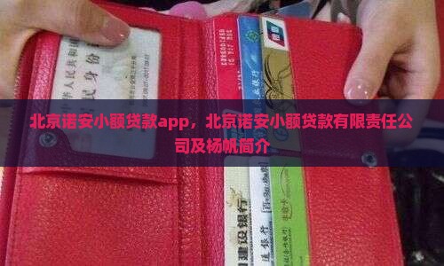 北京诺安小额贷款app