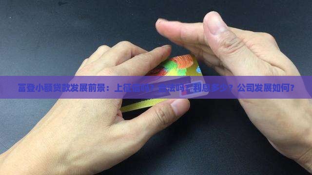 富登小额贷款发展前景