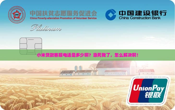 小米数字贷款客服电话