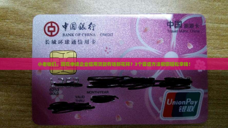 企业信用贷款发展模式