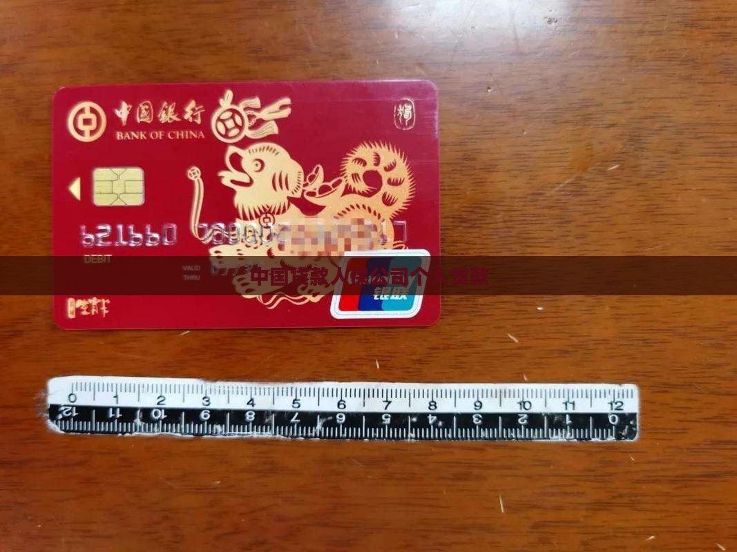 人保公司个人贷款