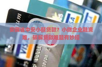 安徽省中安小额贷款