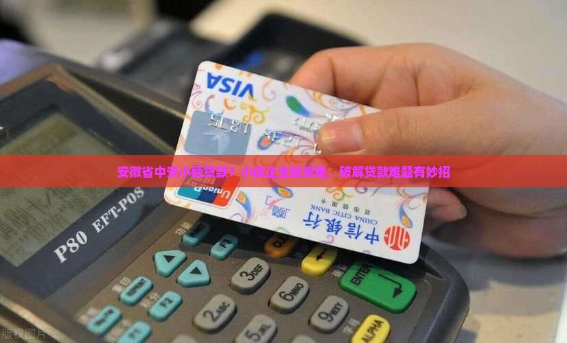 安徽省中安小额贷款