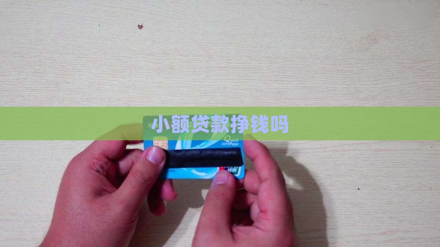 小额贷款挣钱吗